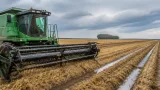 Las lluvias interrumpieron la cosecha de trigo y frenaron la siembra de soja en Santa Fe